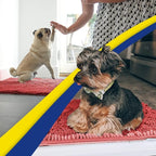 Muddy Mat® | Super Absorbent Door Mat Indoor, Microfiber Quick Dry Chenille - Image 6