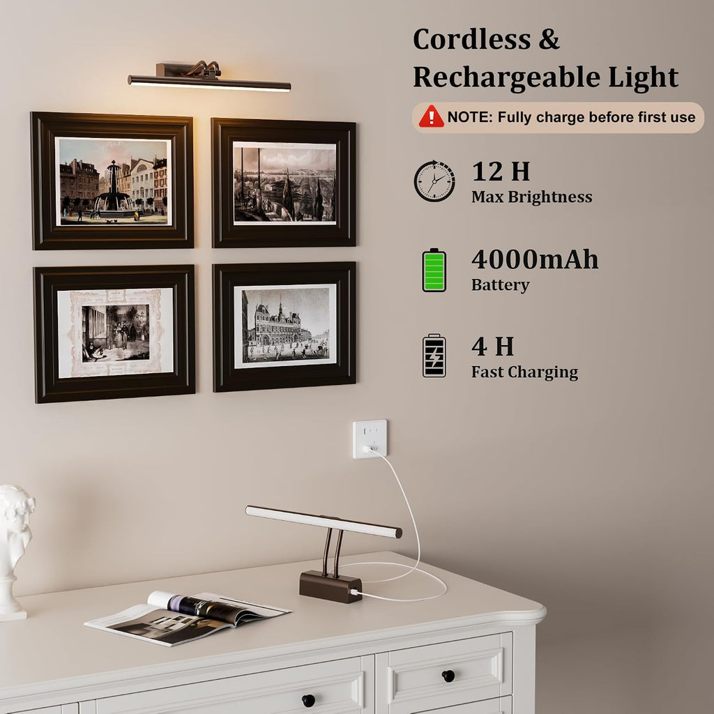Picture Light for Wall, RF Remote, USB Charging Brown