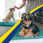 Muddy Mat® | Super Absorbent Door Mat Indoor, Microfiber Quick Dry Chenille - Image 5