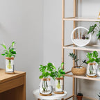 Layhit 4 Pcs Plants Propagation Stations vases Glass Planters with Wooden Lid and Bamboo Stand for Hydroponic Plants Gardening Gifts for Women Mom Home Office Tabletop Decoration(Classic Style)