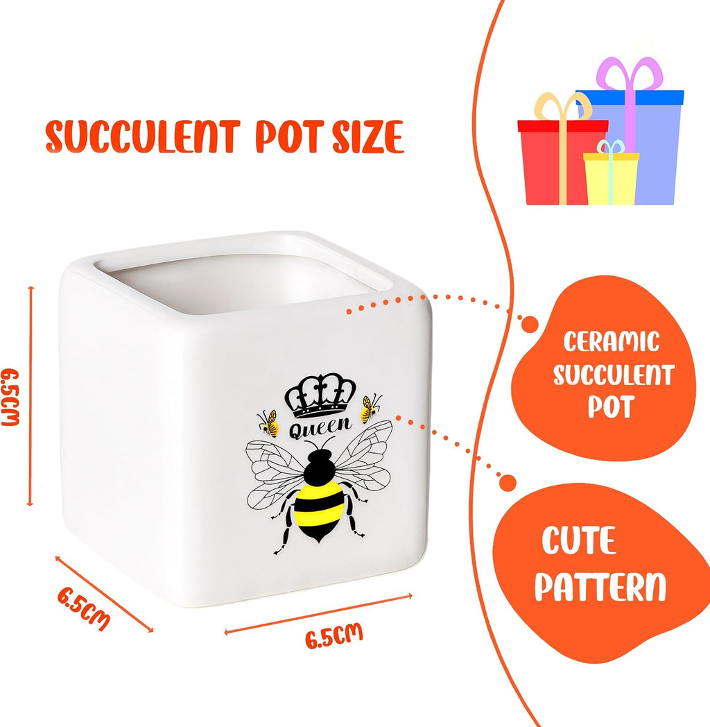 Bee Succulent Planter Flower Plant Pot Small, Gifts for Women Teens Girls Kids, Bee Lovers Themed Stuff Accessories Things Decor Merch, Home Office Table Desk Decoration!