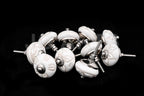 JGARTS 20 Knobs Cream White Hand Painted Ceramic Knobs Cabinet Drawer Pull