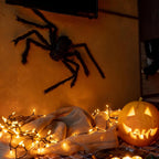 Colovis 6 Pcs Large Scary Halloween Spider Decorations for Outdoor, Yard