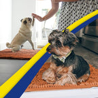 Muddy Mat® | Super Absorbent Door Mat Indoor, Microfiber Quick Dry Chenille - Image 4