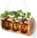 Plant Terrarium Propagation Stations Skull Planter Vase Skulls Decor