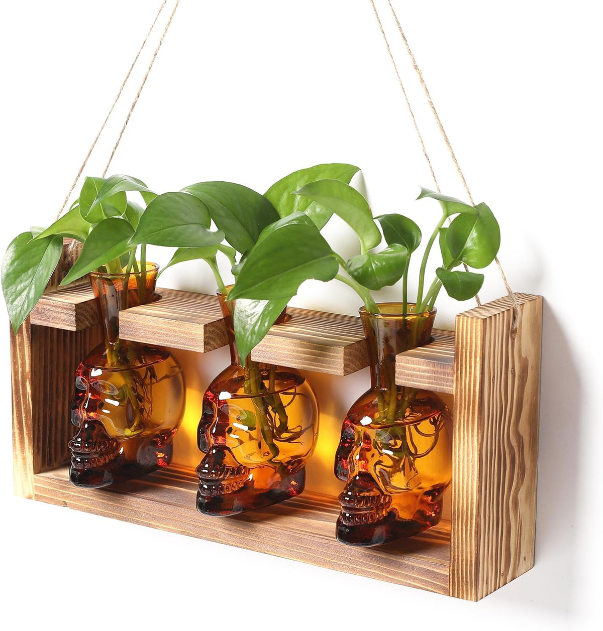 Plant Terrarium Propagation Stations Skull Planter Vase Skulls Decor