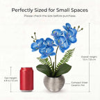 Briful 13" Small Artificial Orchid Flowers in Silver Ceramic Pot, Blue Faux Phalaenopsis Silk Orchid Arrangement Fake Orchid Plant for Bathroom Vanity Office Desk Shelf Coastal Home Decor