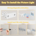Picture Light for Wall, RF Remote, USB Charging, White