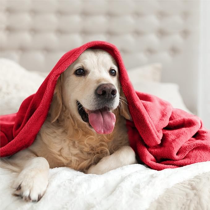 BEDELITE Fleece Blankets Queen Size Red Throw Blankets - Image 9