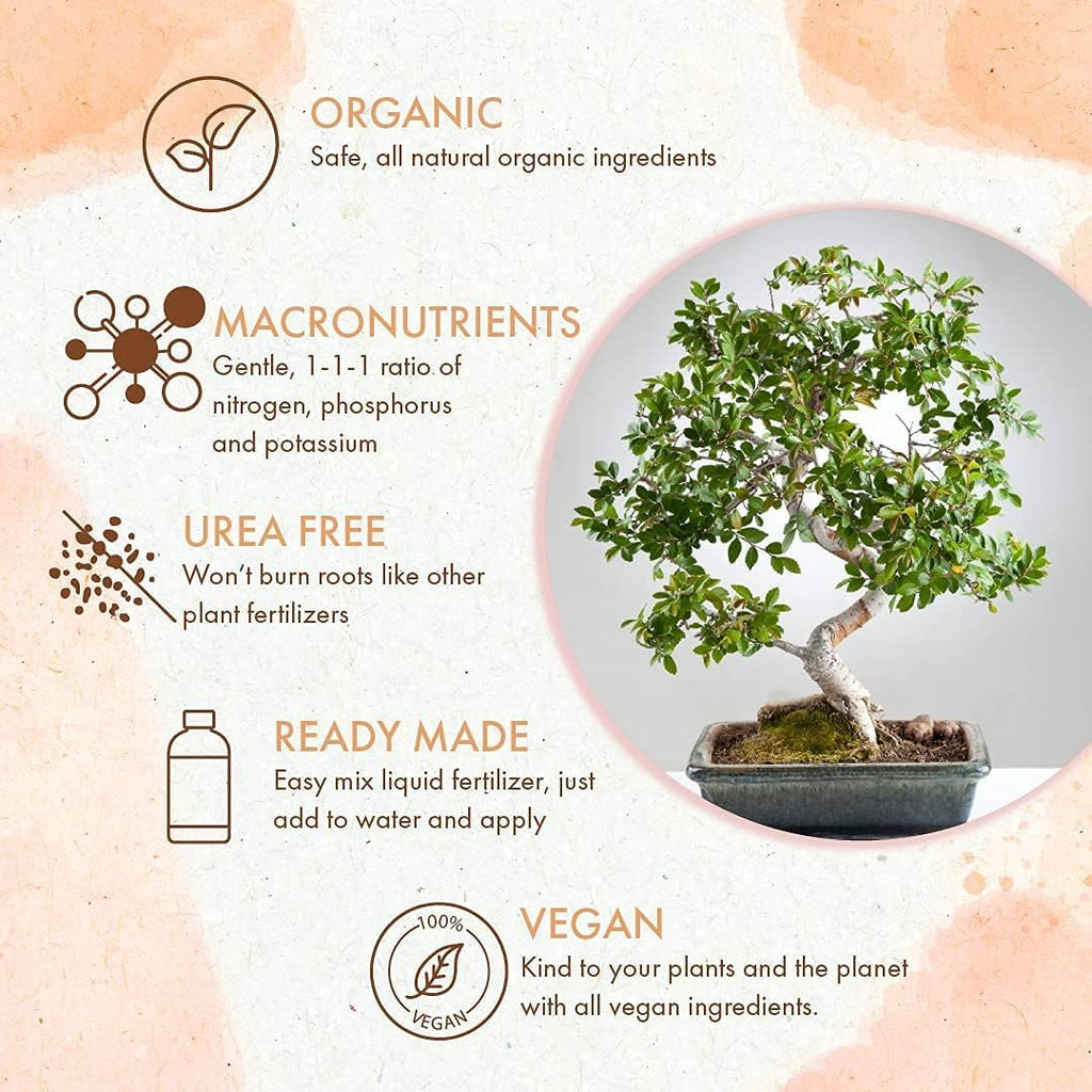 Organic Bonsai Fertilizer for Robust Growth & Strong Stems, 8oz