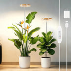 Full Spectrum Grow Lights for Indoor Plants&Home Décor.