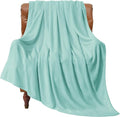 BEDELITE Fleece Blanket Twin Size Haze Blue Throw Blankets by BEDELITE
