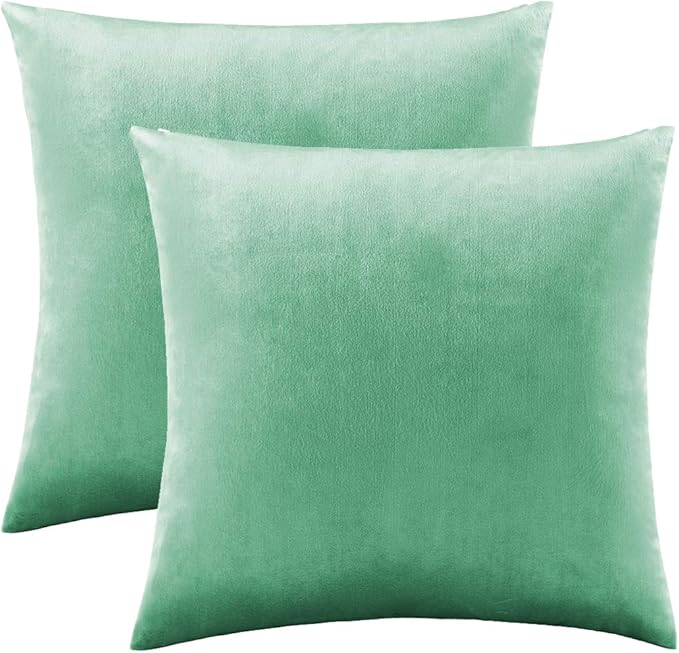 GIGIZAZA Mint Turquoise Velvet Decorative Throw Pillow Covers - Image 2