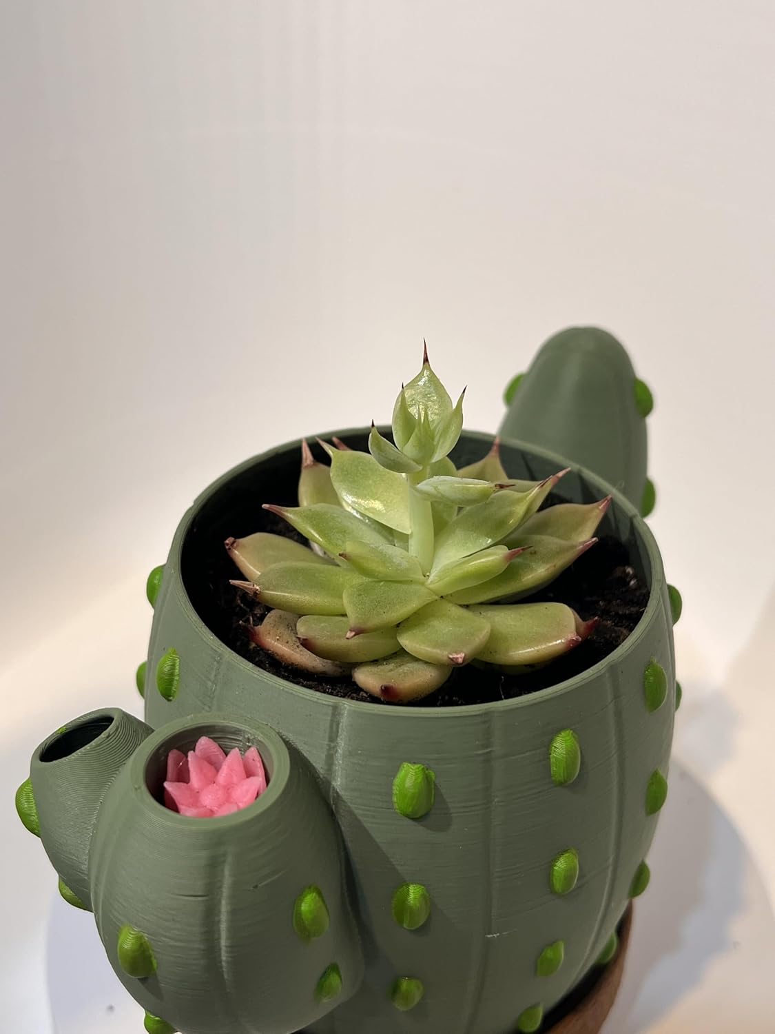 Self Watering Cactus Planter, Small Succulent Plant Pot Modern Indoor Planter for Desk, Home and Office Decor