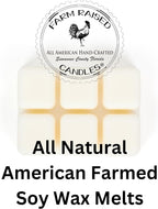 USA Made - Hand Crafted - McIntosh Apple Wax Melts Warmer Cubes 6 Ounces 2 Pack - - Natural American Farmed Soy Wax. melt Cubes Farmhouse Fall