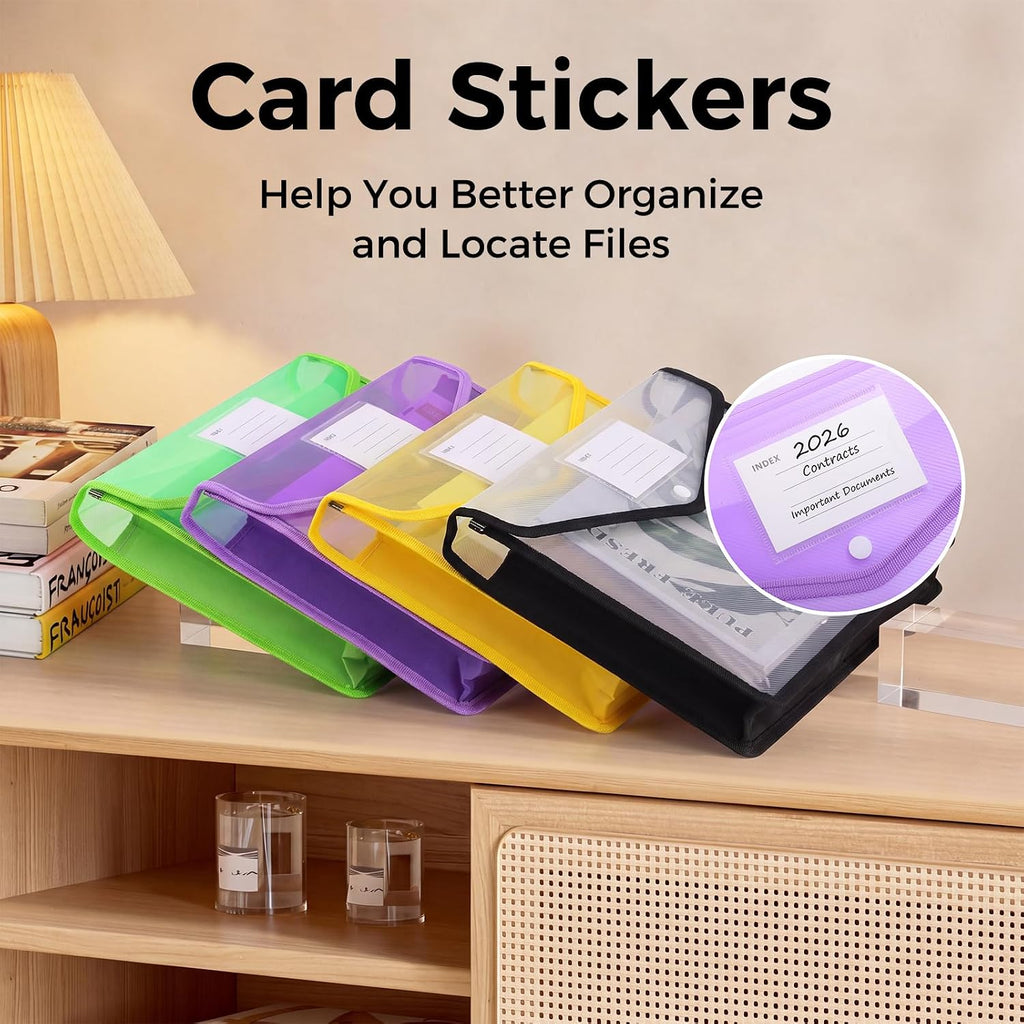 Plastic Expanding File Folder, Transparent Colorful File Folder Organizer