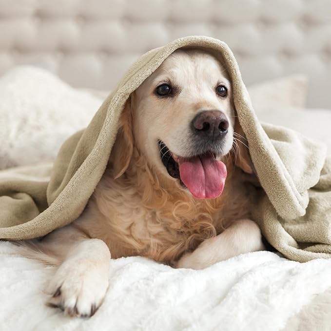 BEDELITE Fleece Blankets Queen Size Linen Throw Blankets - Image 8
