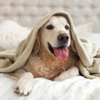 BEDELITE Fleece Blankets Queen Size Linen Throw Blankets - Image 8