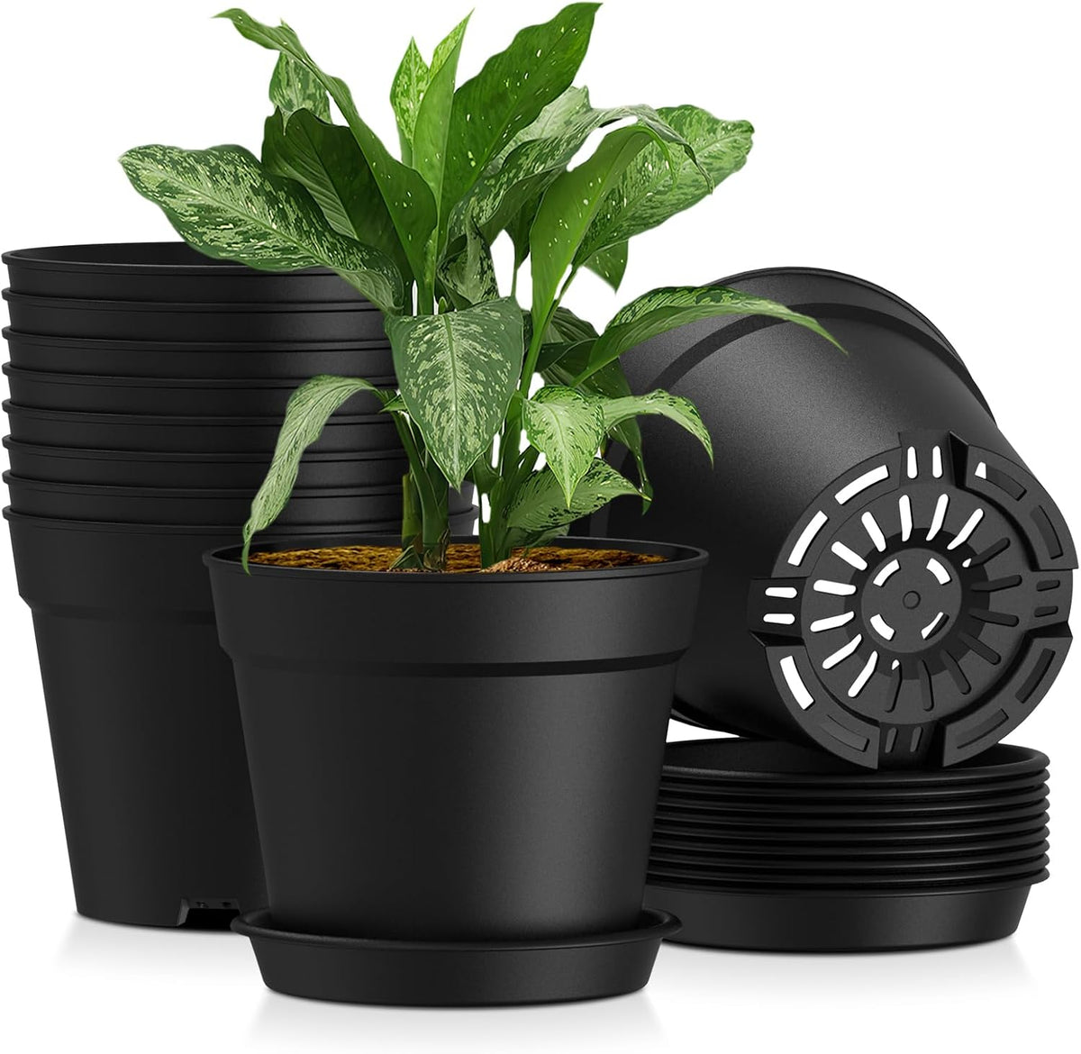 8 Inch 10 Pack Plastic Plant Pots with Drainage Holes and Trays