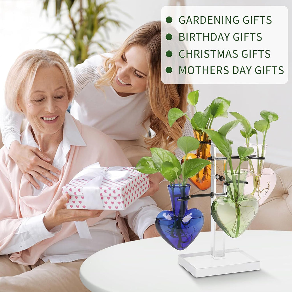 Plants Propagation Stations Plant Terrarium Kit Gift for Women