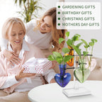 Plants Propagation Stations Plant Terrarium Kit Gift for Women