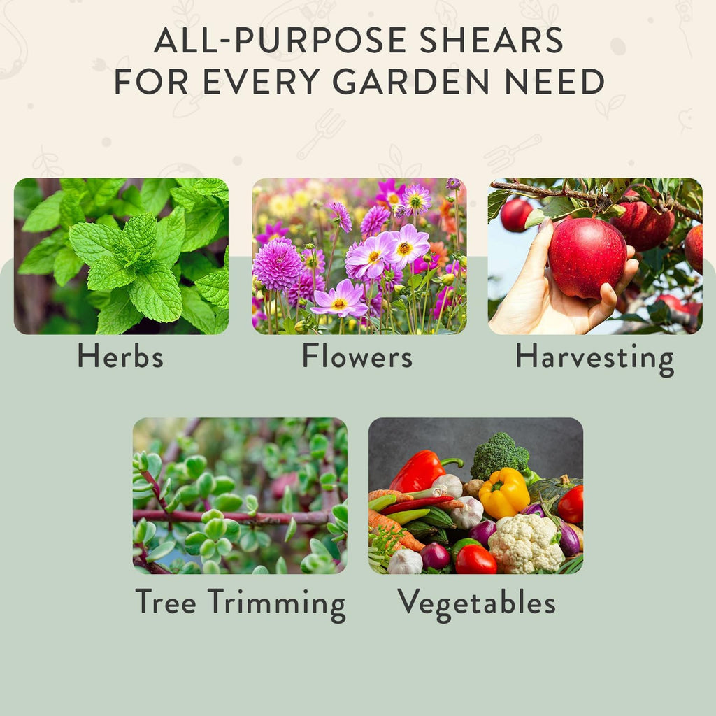 Modern Sprout Pruning Shears with Gray Holster Sheath Set