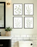 Drsoum Botanical Plant Framed Wall Art Boho Wall Decor for Bathroom Sage Green Eucalyptus Leaf Prints Minimalist Aesthetic Ready to Hang Set of 4, 8x10 in (Black Framed)
