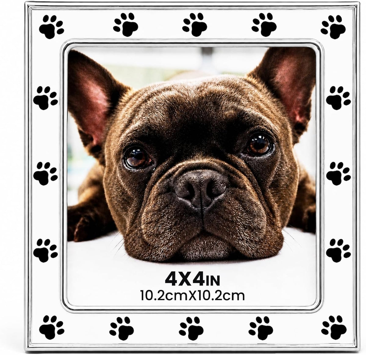 Dog Picture Frame - 5x7 Metal Cute Picture Frames,Pet Memorial Gifts for Dogs Perfect for Home Decor, Office Desk & Gifting to Pet Lovers