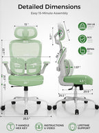 Ergonomic Office Desk Chair, Adjustable Dual Lumbar Support & Thick Seat