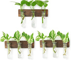 XXXFLOWER 5Test Tube Plant Propagation Station Plant Terrarium Wooden Stand