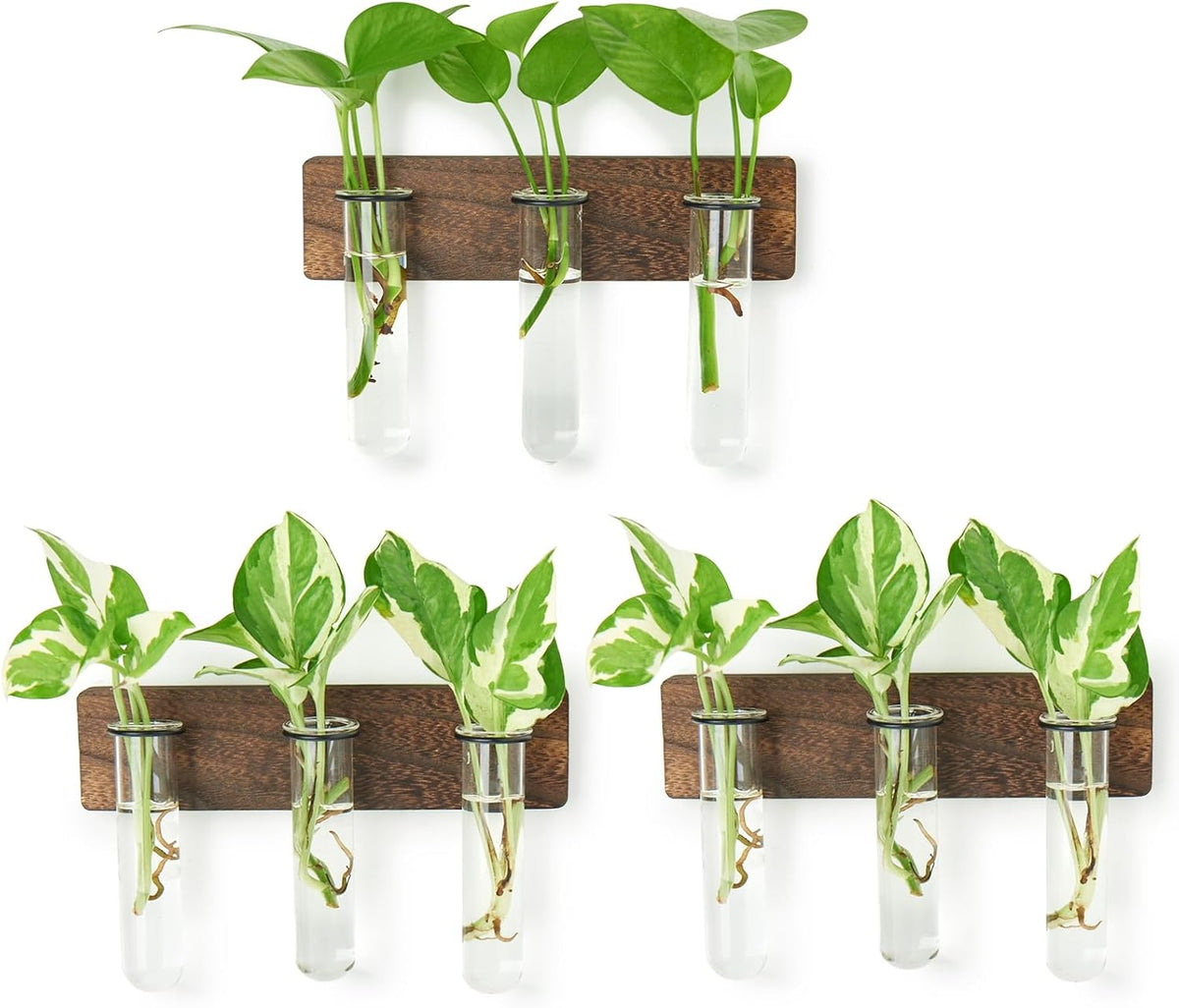 XXXFLOWER 5Test Tube Plant Propagation Station Plant Terrarium Wooden Stand