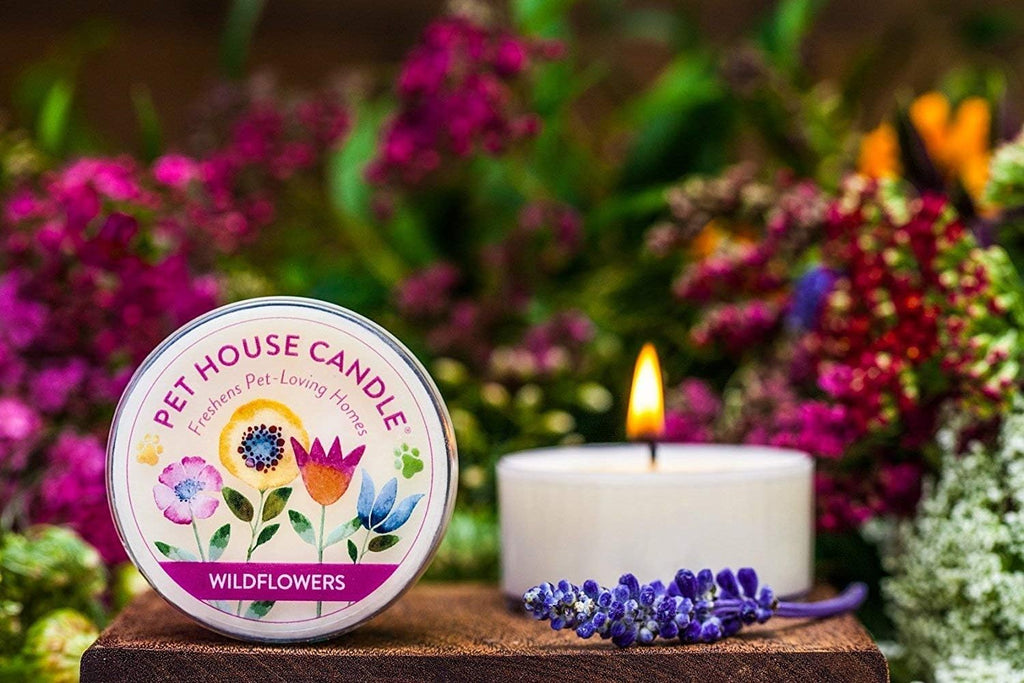 Variety Mini Candles Plant-Based Wax, 3 Pack Pet House