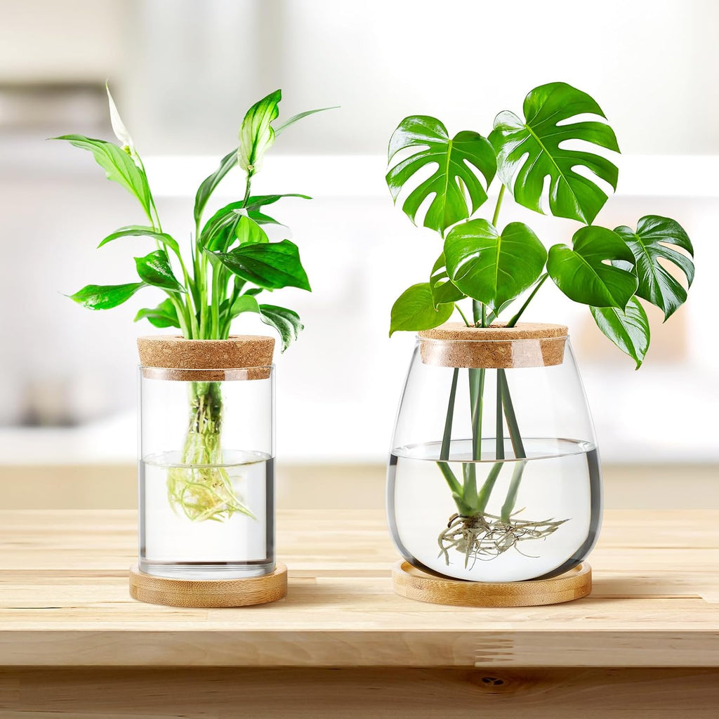 Layhit 4 Pcs Plants Propagation Stations vases Glass Planters with Wooden Lid and Bamboo Stand for Hydroponic Plants Gardening Gifts for Women Mom Home Office Tabletop Decoration(Classic Style)