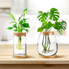 Layhit 4 Pcs Plants Propagation Stations vases Glass Planters with Wooden Lid and Bamboo Stand for Hydroponic Plants Gardening Gifts for Women Mom Home Office Tabletop Decoration(Classic Style)