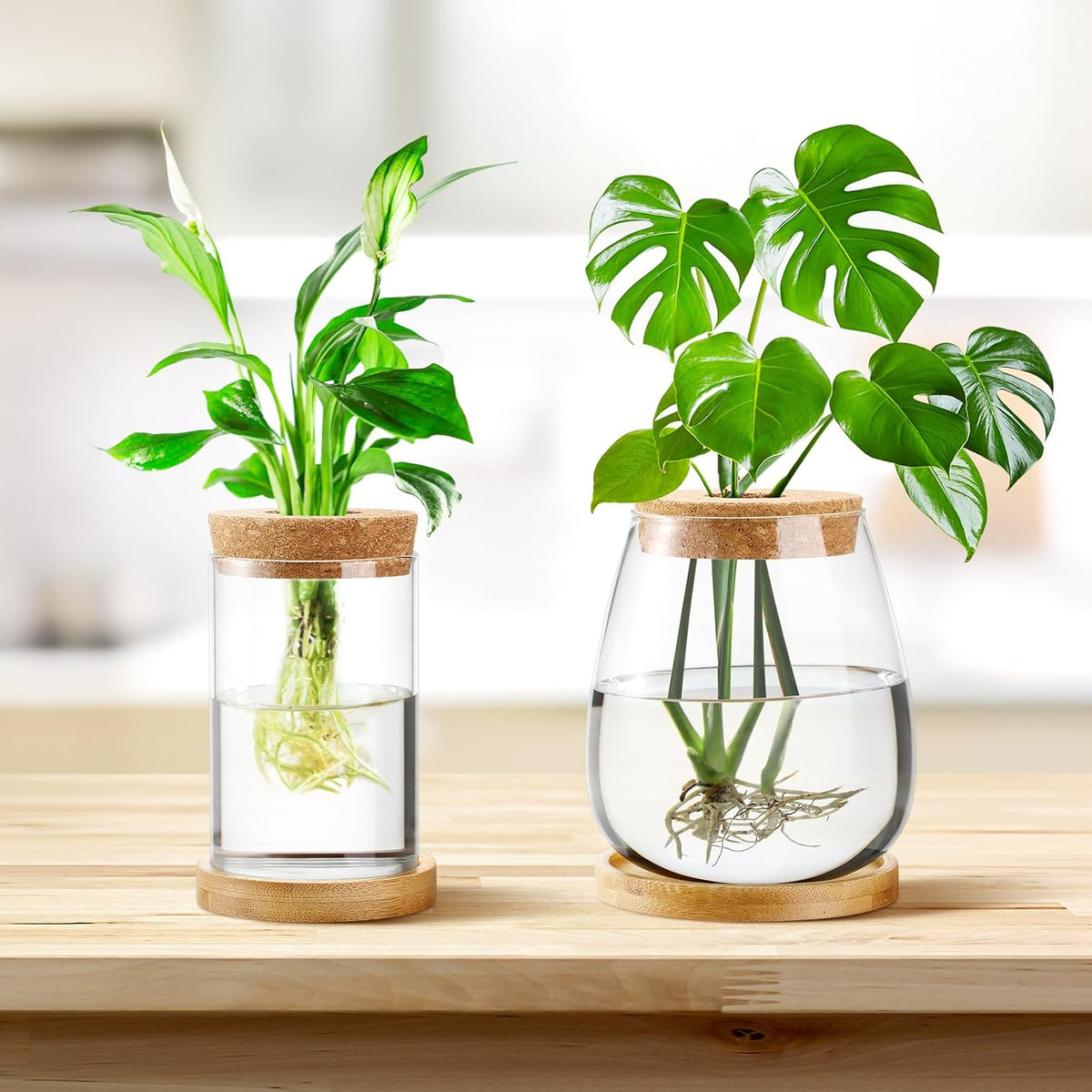 Layhit 4 Pcs Plants Propagation Stations vases Glass Planters with Wooden Lid and Bamboo Stand for Hydroponic Plants Gardening Gifts for Women Mom Home Office Tabletop Decoration(Classic Style)