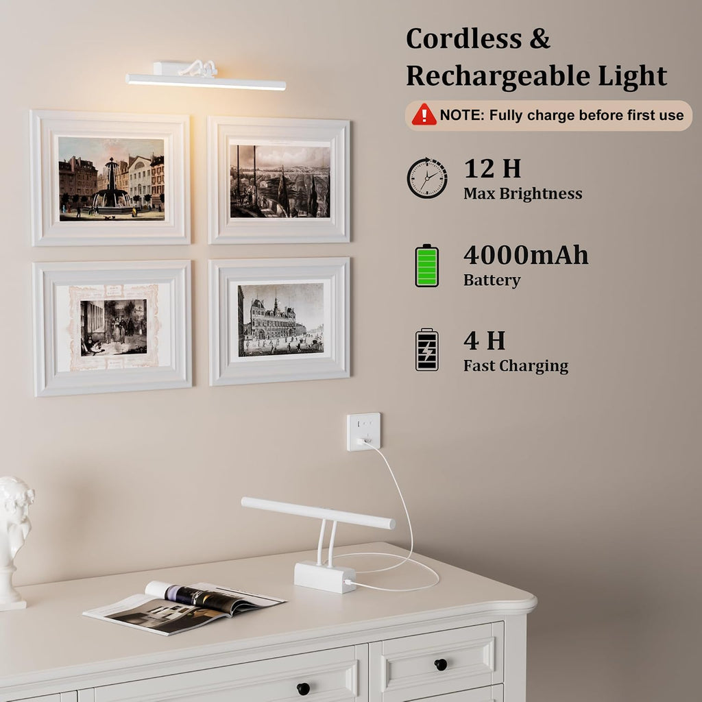 Picture Light for Wall, RF Remote, USB Charging, White