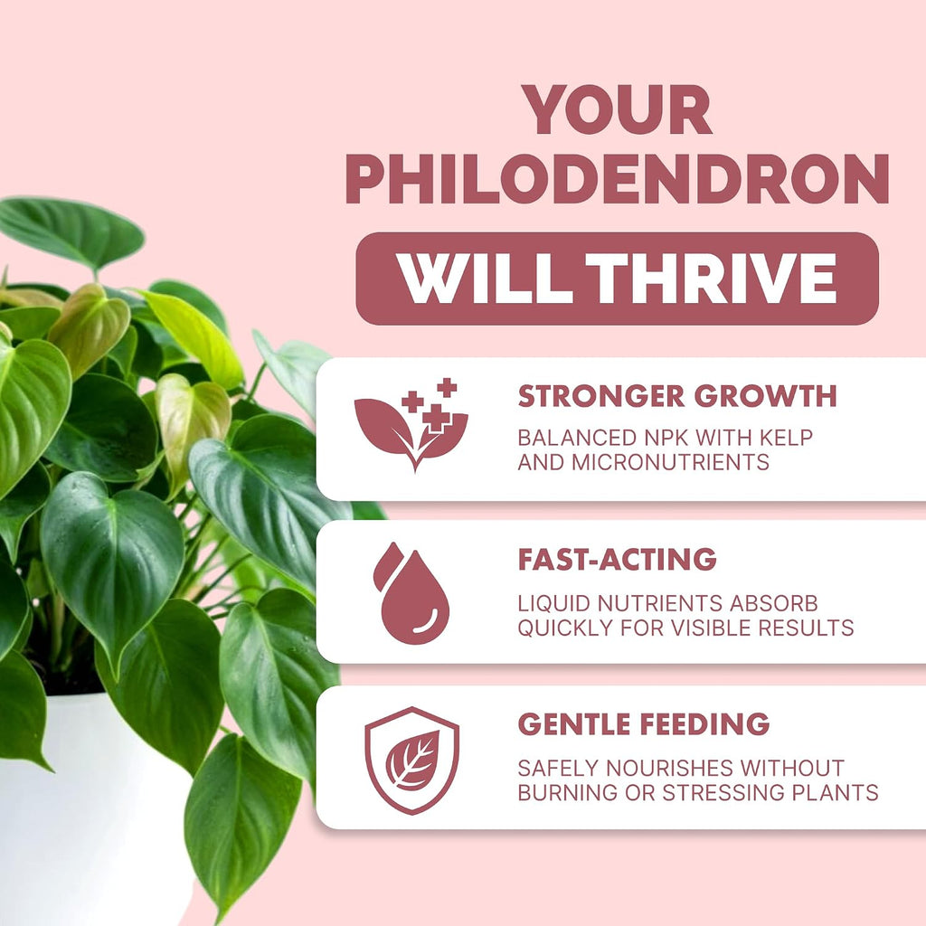 Philodendron Fertilizer, Liquid Plant Food for Bigger Leaves, 8 oz