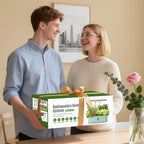 Hydroponics Growing System Indoor Garden: 12 Pods Hydroponic Planter