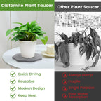 Plant Saucer for Indoors, 2 Packs 8 inch, Diatomaceous Earth Pot Saucers No Holes, Instant Dry Plant Drainage Trays for Pots, Dark Gray