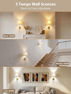 Wall Sconces Set of Two Rechargeable Cordless Wall Decor with Magnetic Bulb