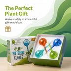 Plant Watering Globes 4 Pack – Self Watering Bulbs, Indoor & Outdoor Plants