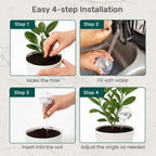 Plant Watering Globes 4 Pack – Self Watering Bulbs for Plants, 200ml Medium