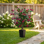 Aveyas 3ft Artificial Bougainvillea Tree with Flowers, 3 ft Faux Floor Plant Fake Silk Blooming Trees with Pot for Indoor Outdoor Home Decor,House Living Room Office (3 Feet Tall Including Raised Pot)