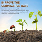 Soil Activator, Soil Revitalizer & Soil Conditioner for Plants, Supports Root Development & Nutrient Absorption for Lawn Garden Indoor Outdoor Plants, 200G