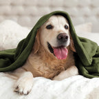 BEDELITE Fleece Blanket Twin Size Olive Green Throw Blankets - Image 7
