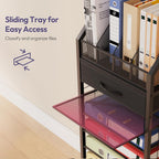 9-Tier Rolling File Cart - Paper Organizer with Drawer and Trays, Wood Desk Office Organizer, Office Organization and Binder Storage for Workspace, Home, School, Black