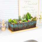 Succulent Pots, 12'' Long Rectangle Planters with Tray, Windowsill Planter