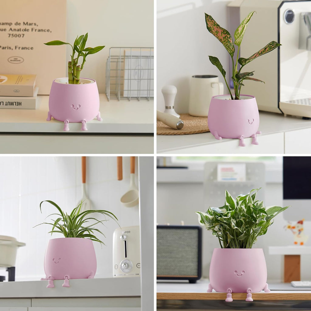 TOPOLA 5.2 Inch Hydroponic Happy Face Planter with 3 Interchangeable Grow Baskets, Water Culture Pot for Pothos, Lucky Bamboo & Plant Propagation, Decorative Desktop Planter for Home & Office, Sakura