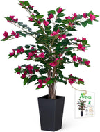 Aveyas 3ft Artificial Bougainvillea Tree with Flowers, 3 ft Faux Floor Plant Fake Silk Blooming Trees with Pot for Indoor Outdoor Home Decor,House Living Room Office (3 Feet Tall Including Raised Pot)