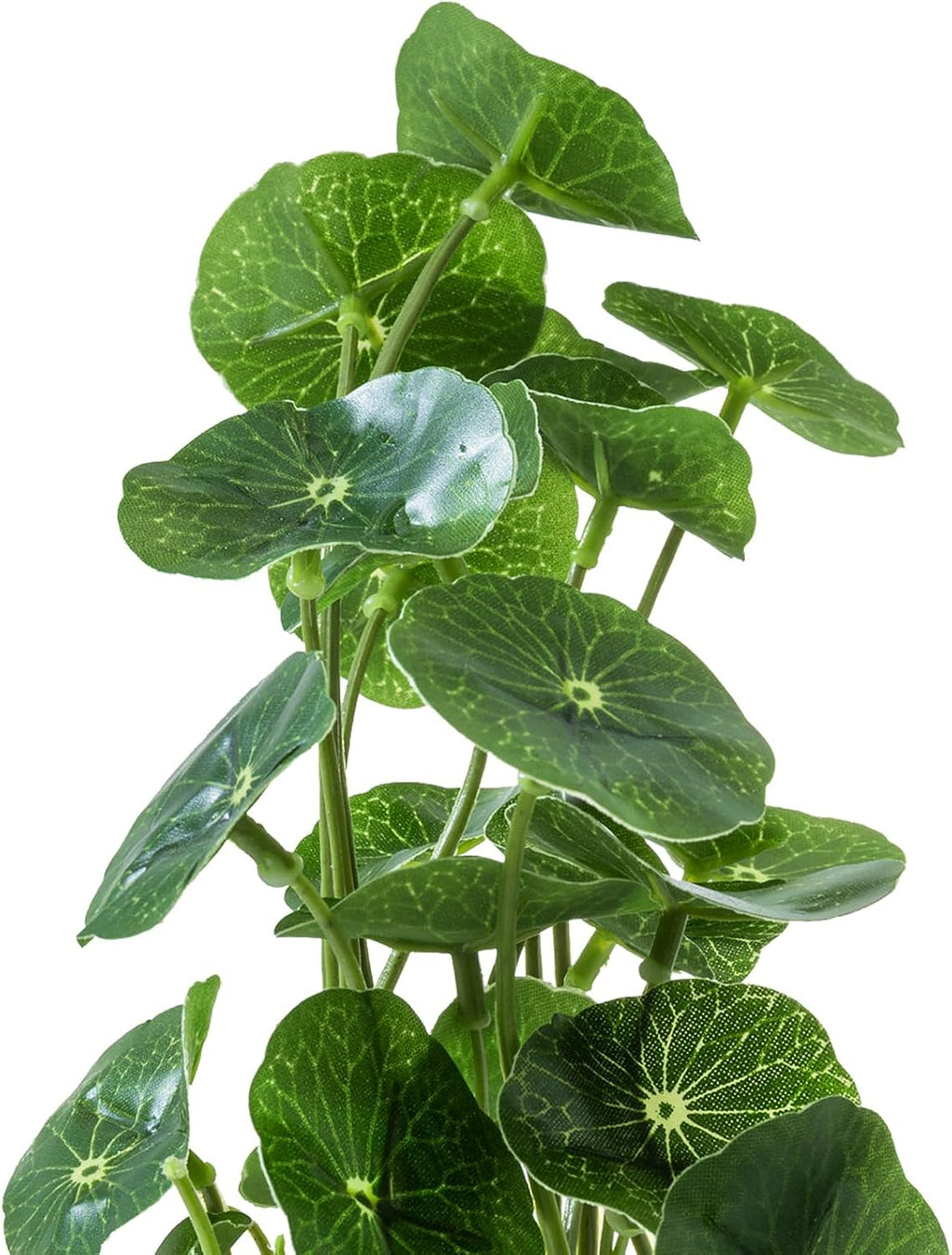 MyGift Set of 3 Small Assorted Artificial Plants in Clear Glass Pot
